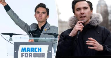 DNC panel votes to void David Hoggâs election to Democratic vice chairÂ 